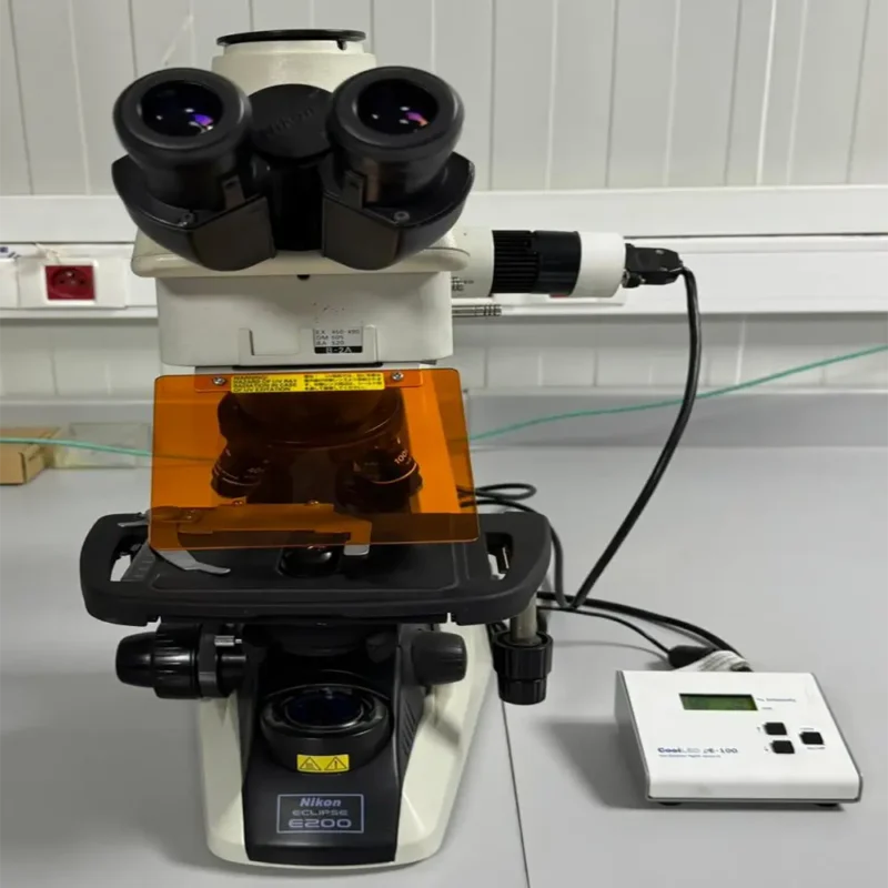 Laboratoire d'Analyses Médicales à Marrakech